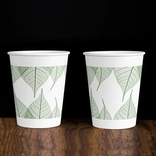 Bamboo Cupstock